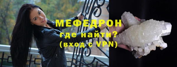 МДПВ Бородино