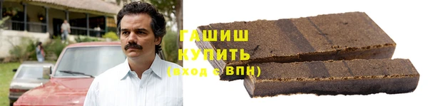 МДПВ Бородино