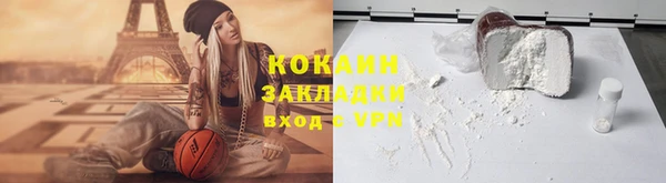 МДПВ Бородино