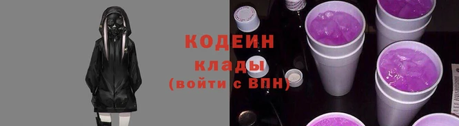 МДПВ Бородино