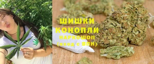 МДПВ Бородино