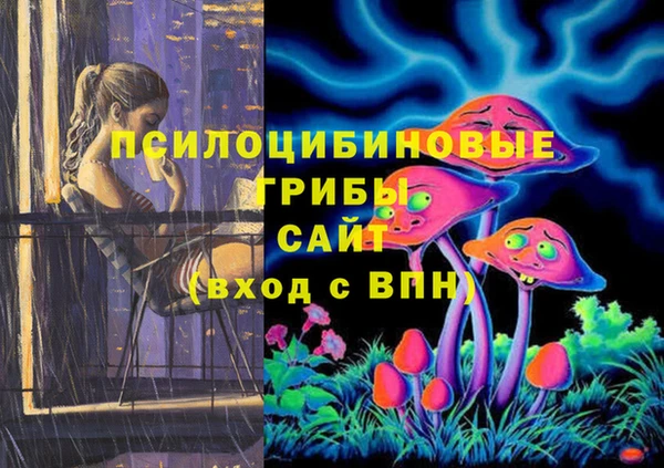 МДПВ Бородино