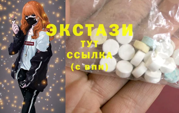 МДПВ Бородино