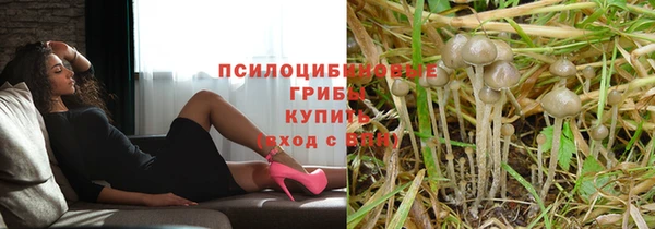 МДПВ Бородино