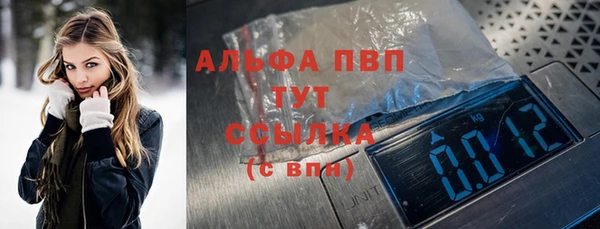МДПВ Бородино